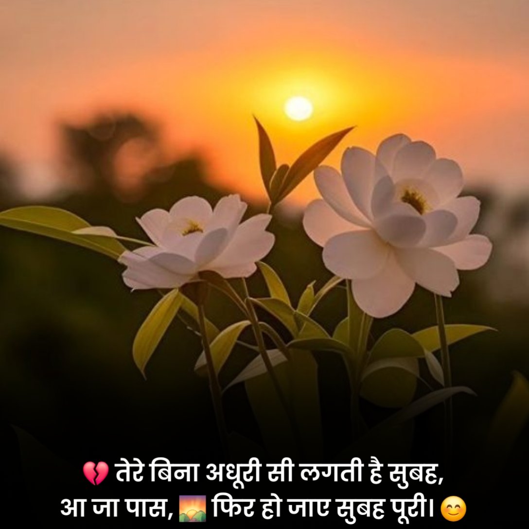 Beautiful Good Morning Status